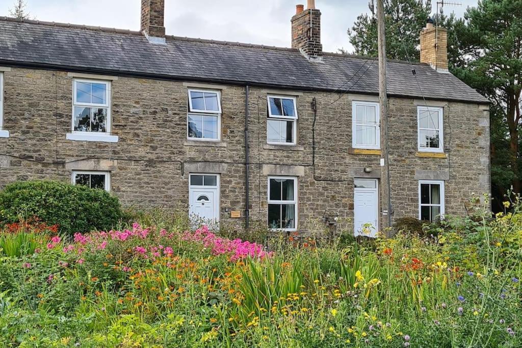 Woodcutters Cottage, Northumberland Haltwhistle Extérieur photo